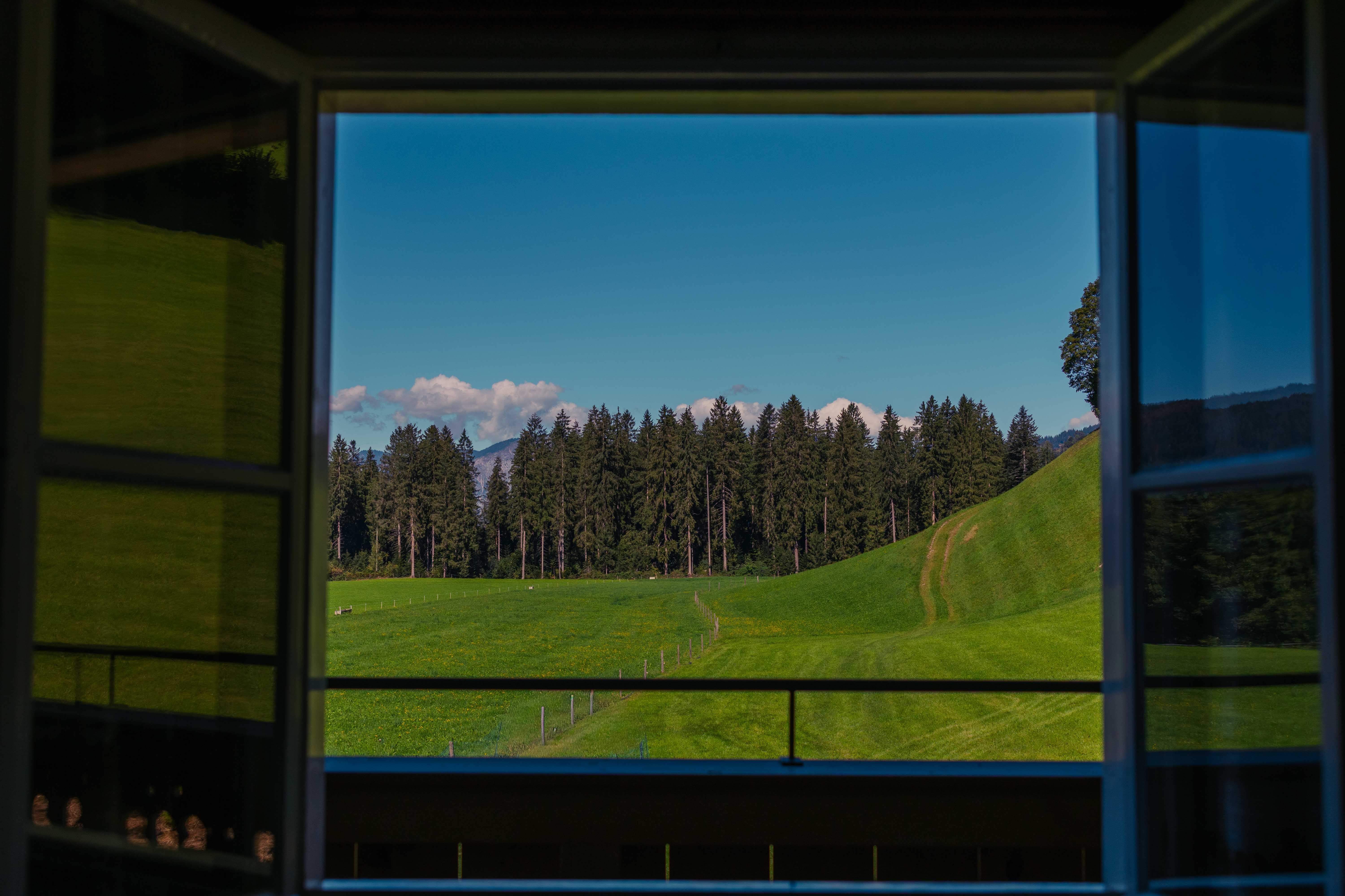 Zimmer 'Waldblick'